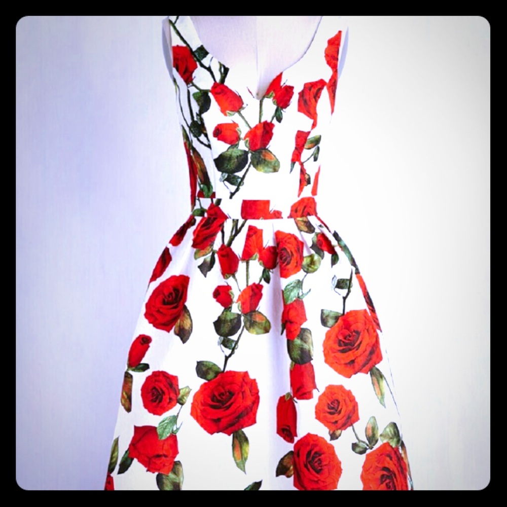 Gorgeous dress NWT sz 18